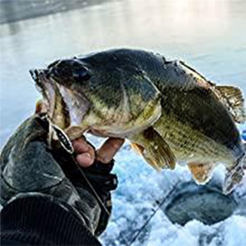 ABUE-Kayak Portable Fish Depth - Fishing Boat Depth Finder review and price